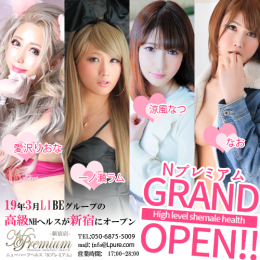 Nプレミアム ニューハーフヘルス